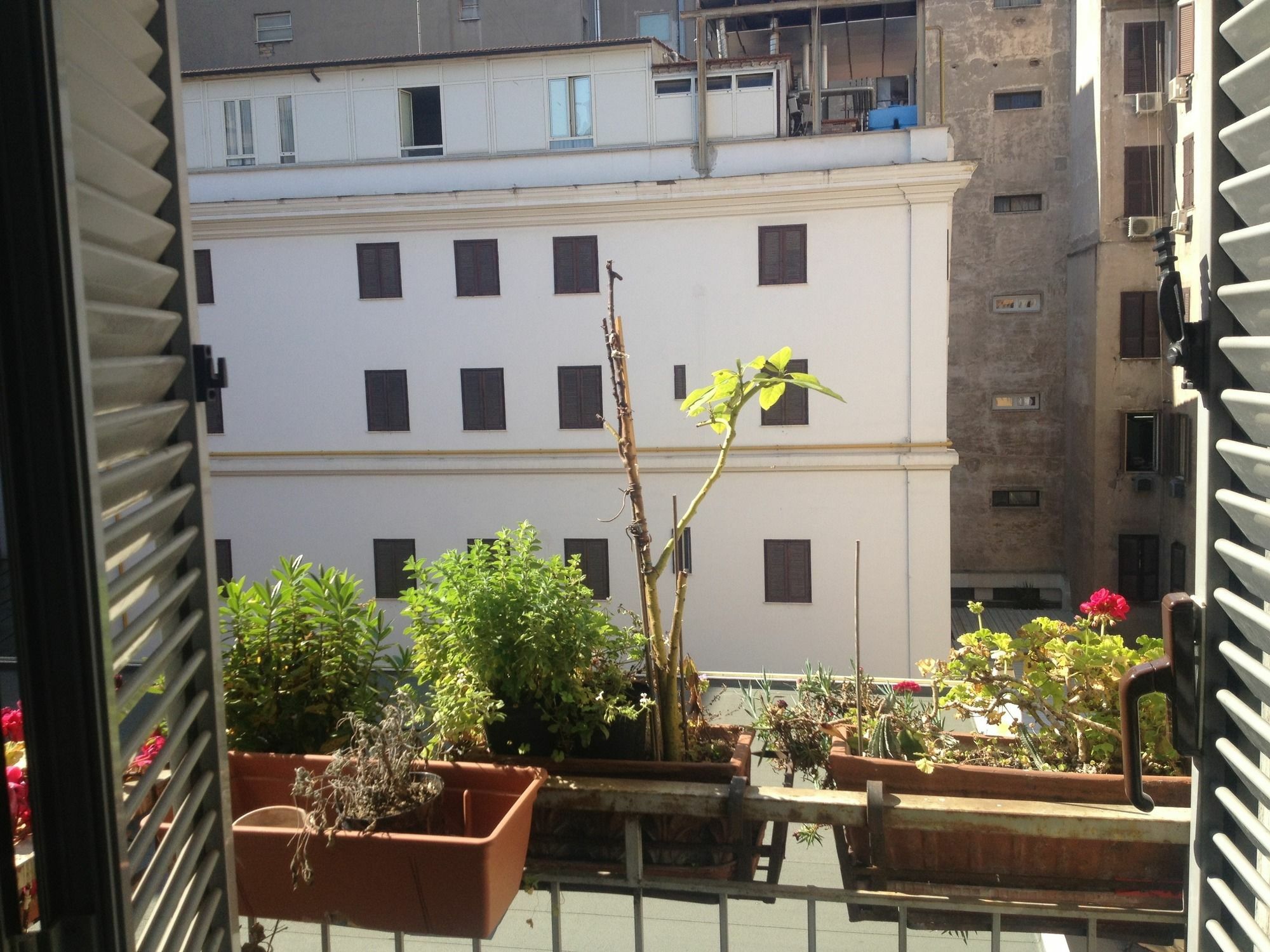 Gasthof Termini Rom